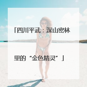 四川平武：深山密林里的“金色精灵”