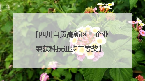 四川自贡高新区一企业荣获科技进步二等奖