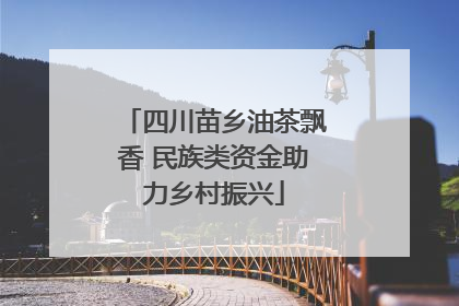 四川苗乡油茶飘香 民族类资金助力乡村振兴