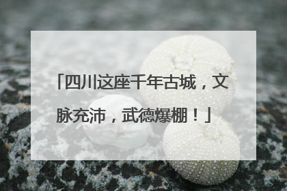 四川这座千年古城，文脉充沛，武德爆棚！