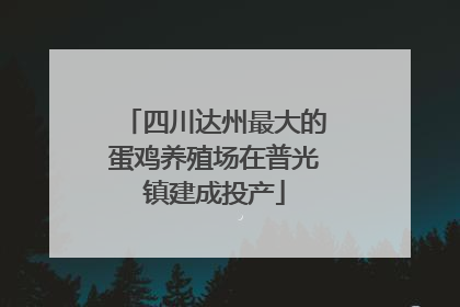 四川达州最大的蛋鸡养殖场在普光镇建成投产