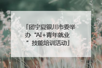 团宁夏银川市委举办“AI+青年就业”技能培训活动