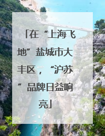 在“上海飞地”盐城市大丰区，“沪苏”品牌日益响亮