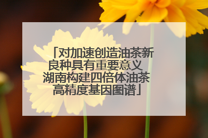 对加速创造油茶新良种具有重要意义 湖南构建四倍体油茶高精度基因图谱