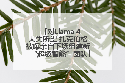 对Llama 4大失所望 扎克伯格被曝亲自下场组建新“超级智能”团队