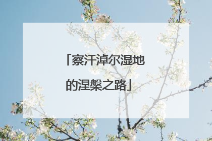 察汗淖尔湿地的涅槃之路