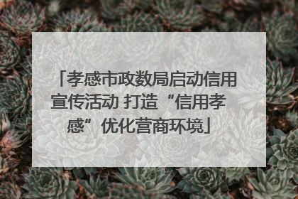 孝感市政数局启动信用宣传活动 打造“信用孝感”优化营商环境