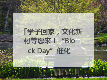 学子回家，文化新村等您来！“Block Day”催化学院式街区新生态