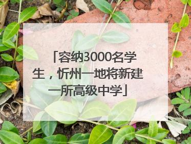 容纳3000名学生，忻州一地将新建一所高级中学