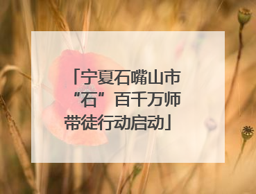 宁夏石嘴山市“石”百千万师带徒行动启动