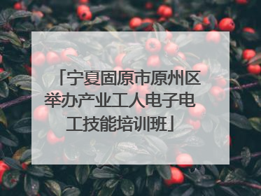 宁夏固原市原州区举办产业工人电子电工技能培训班