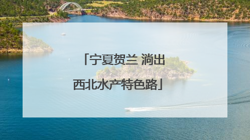 宁夏贺兰 淌出西北水产特色路