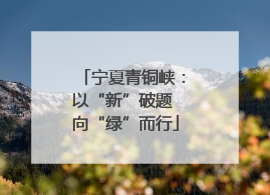 宁夏青铜峡：以“新”破题 向“绿”而行