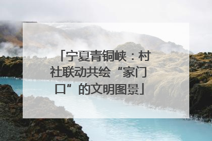 宁夏青铜峡：村社联动共绘“家门口”的文明图景