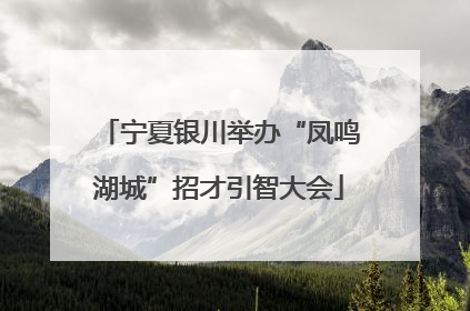 宁夏银川举办“凤鸣湖城”招才引智大会