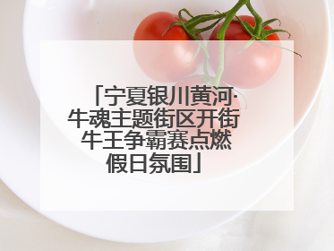 宁夏银川黄河·牛魂主题街区开街 牛王争霸赛点燃假日氛围
