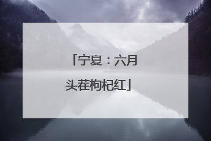 宁夏：六月头茬枸杞红