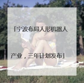 宁波布局人形机器人产业，三年计划发布