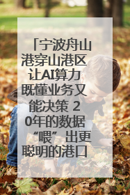 宁波舟山港穿山港区让AI算力既懂业务又能决策 20年的数据“喂”出更聪明的港口