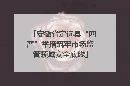 安徽省定远县“四严”举措筑牢市场监管领域安全底线