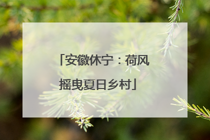 安徽休宁：荷风摇曳夏日乡村