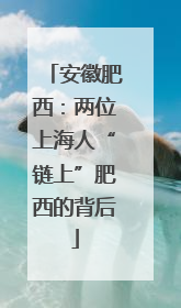 安徽肥西：两位上海人“链上”肥西的背后