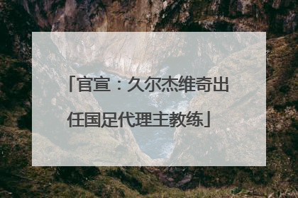 官宣：久尔杰维奇出任国足代理主教练