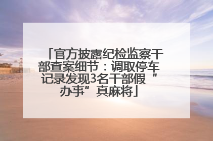 官方披露纪检监察干部查案细节：调取停车记录发现3名干部假“办事”真麻将