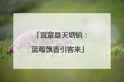 宜章县天塘镇：蓝莓飘香引客来