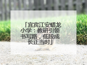宜宾江安蟠龙小学：教研引领书写路，低段成长正当时