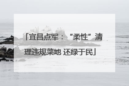 宜昌点军：“柔性”清理违规菜地 还绿于民