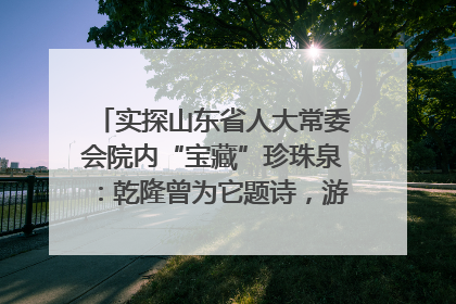 实探山东省人大常委会院内“宝藏”珍珠泉：乾隆曾为它题诗，游客无需预约免费游览