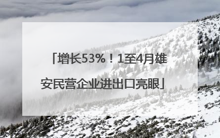 增长53%！1至4月雄安民营企业进出口亮眼