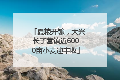 夏粮开镰，大兴长子营镇近6000亩小麦迎丰收