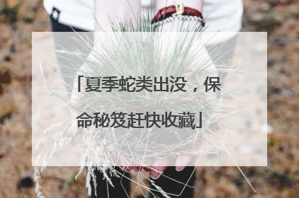 夏季蛇类出没，保命秘笈赶快收藏