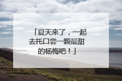 夏天来了，一起去托口尝一颗最甜的杨梅吧！