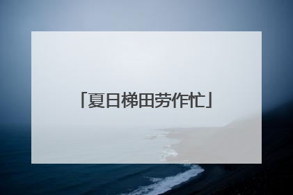 夏日梯田劳作忙