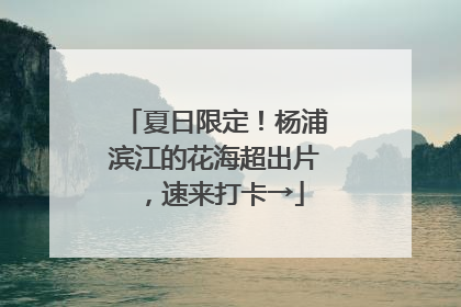 夏日限定！杨浦滨江的花海超出片，速来打卡→
