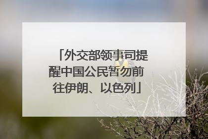 外交部领事司提醒中国公民暂勿前往伊朗、以色列