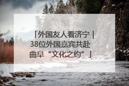 外国友人看济宁｜38位外国嘉宾共赴曲阜“文化之约”