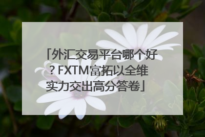 外汇交易平台哪个好？FXTM富拓以全维实力交出高分答卷