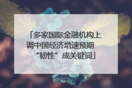 多家国际金融机构上调中国经济增速预期 “韧性”成关键词