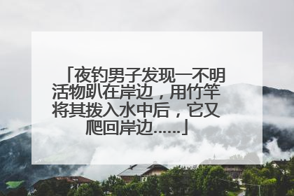 夜钓男子发现一不明活物趴在岸边，用竹竿将其拨入水中后，它又爬回岸边……