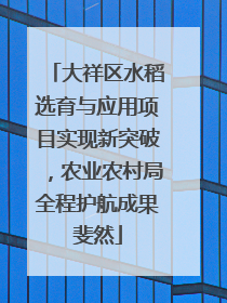 大祥区水稻选育与应用项目实现新突破，农业农村局全程护航成果斐然