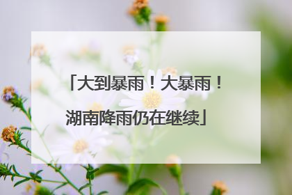 大到暴雨！大暴雨！湖南降雨仍在继续