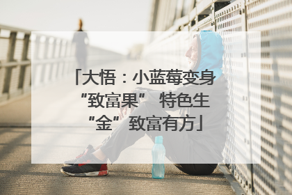 大悟：小蓝莓变身“致富果” 特色生“金”致富有方