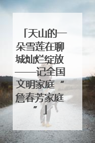 天山的一朵雪莲在聊城灿烂绽放——记全国文明家庭“詹春芳家庭”