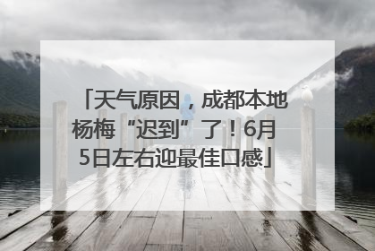 天气原因，成都本地杨梅“迟到”了！6月5日左右迎最佳口感