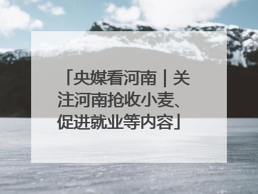 央媒看河南｜关注河南抢收小麦、促进就业等内容