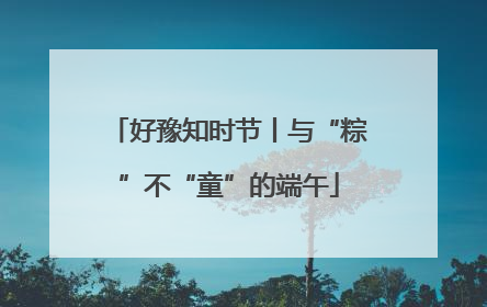 好豫知时节丨与“粽”不“童”的端午